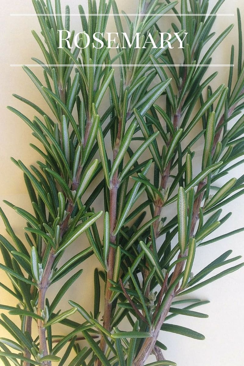 Fresh Rosemary is a must have in any kitchen garden via flouronmyface.com