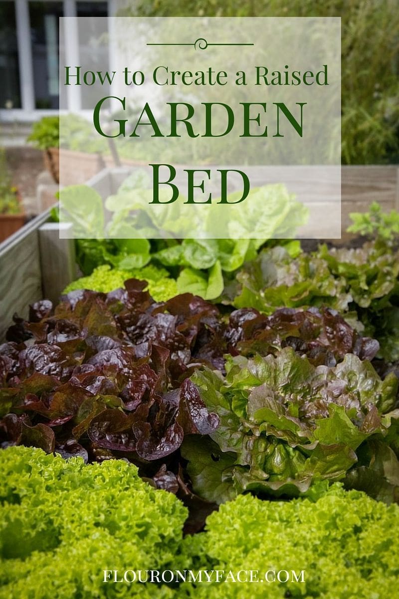 How to create a Raised Garden Bed via flouronmyface.com
