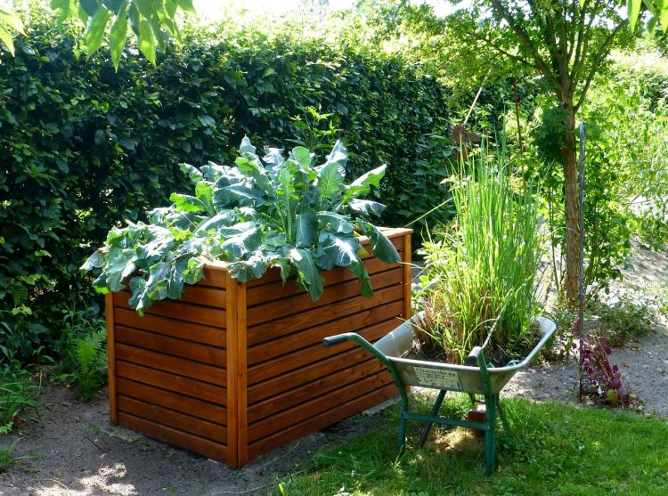 Pick a good location that gets plenty of sunlight for your raised garden bed. via flouronmyface.com