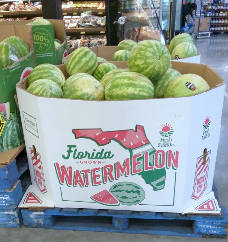 Fresh from Florida Watermelon via flouronmyface.com