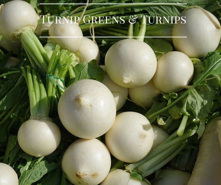 white turnips and turnip greens in a basket from the garden