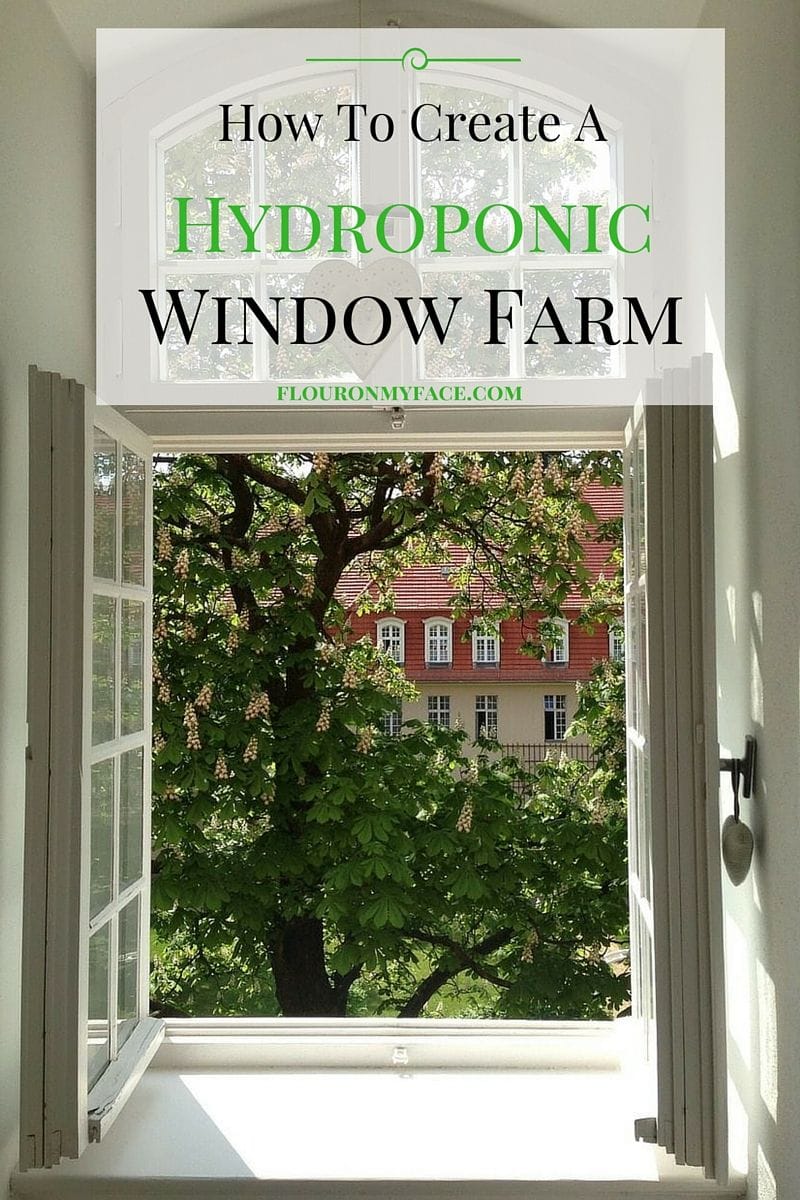 How to create a Hydroponic Window Farm via flouronmyface.com