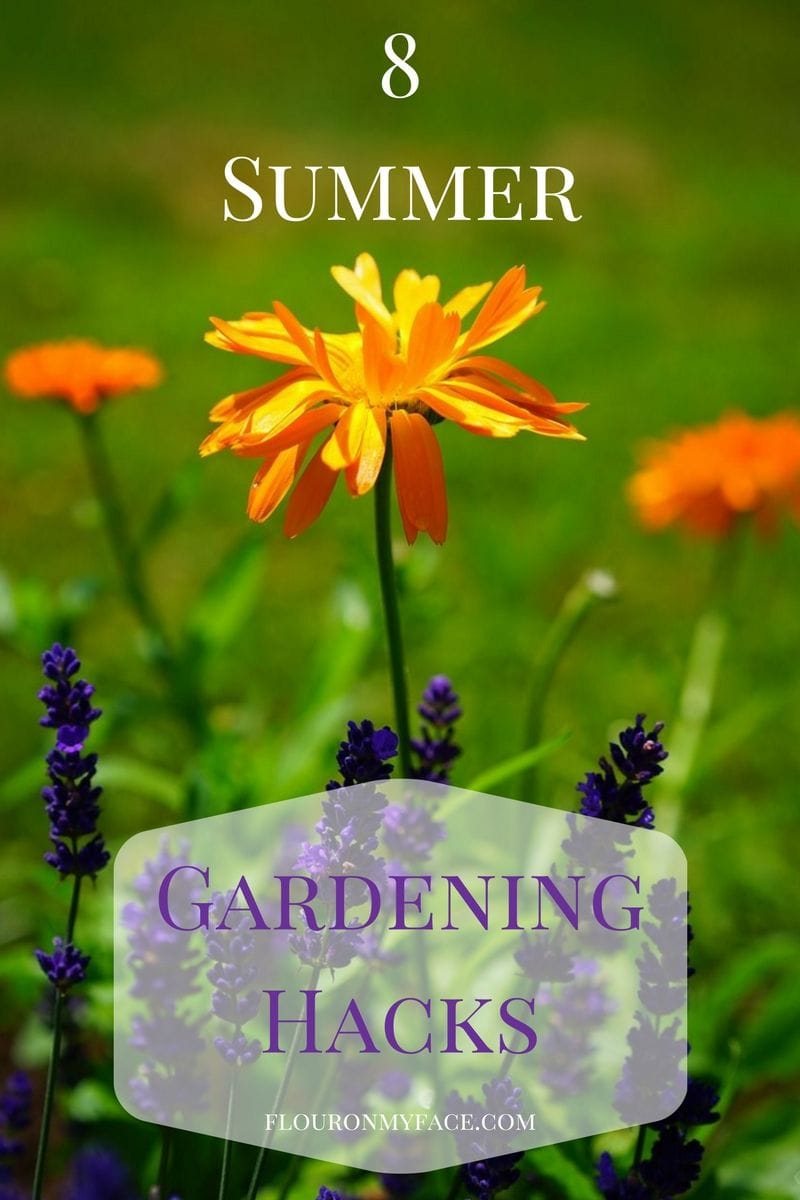 8 Summer Gardening Hacks to keep your garden green during the summer month via flouronmyface.com