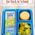 Best Bento Boxes On Amazon