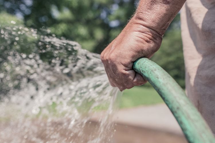 8 Summer Garden Hacks-watering deeply via flouronmyface.com