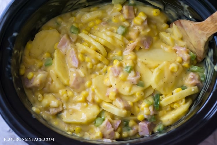 crock-pot-cheesy-ham-soup-recipe-ingredients-flouronmyface