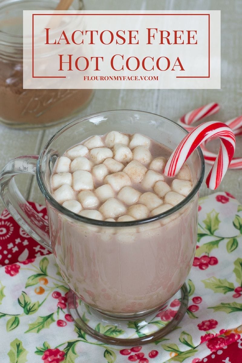 Lactose Free Hot Cocoa and dairy free hot cocoa mix recipe via flouronmyface.com #ad #Lactaid #DairyEnvy