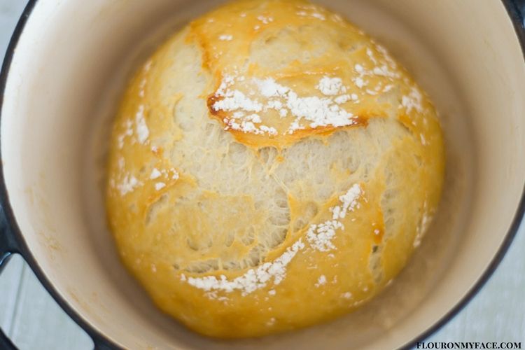 5 Minute Bread made in a Dutch Oven via flouronmyface.com