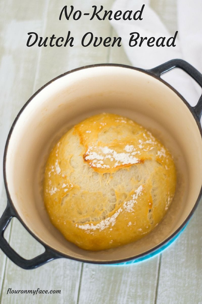 No-Knead Dutch Oven Bread in 5 Minutes a Day via flouronmyface.com