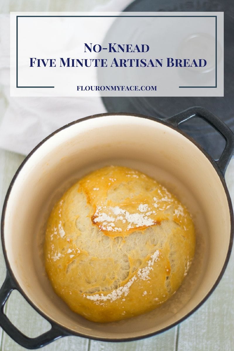 https://flouronmyface.com/wp-content/uploads/2017/02/No-Knead-Five-Minute-Artisan-Bread-flouronmyface.jpg