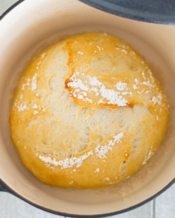 Baked round loaf of 5 minute bread in a enamel pot.