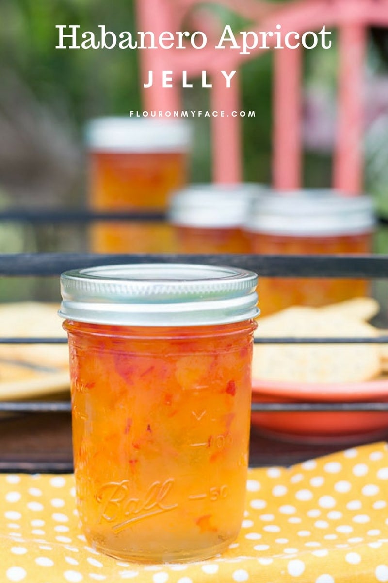 Habanero Apricot Jelly recipe is my new favorite hot pepper jelly recipe. via flouronmyface.com