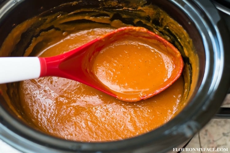 Homemade Crock Pot Butternut Squash Sauce recipe