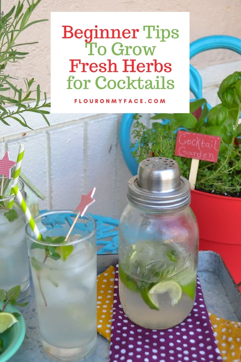 Herbs for Summer Cocktails, Mason Jar Tavern