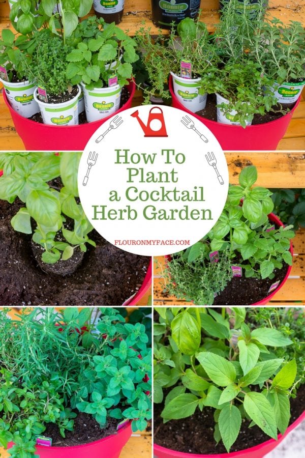 How To Grow a Cocktail Herb Garden - Flour On My Face