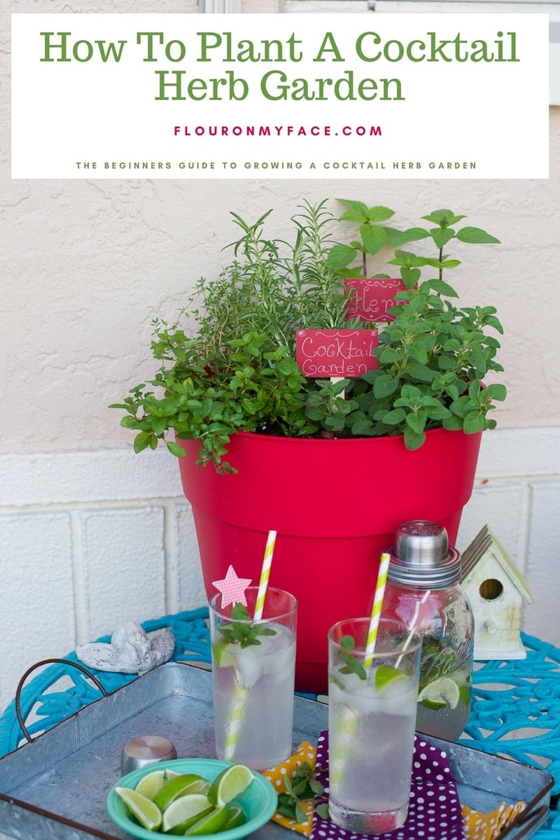 Container Cocktail Herb Garden so you can make herb infused cocktail recipes