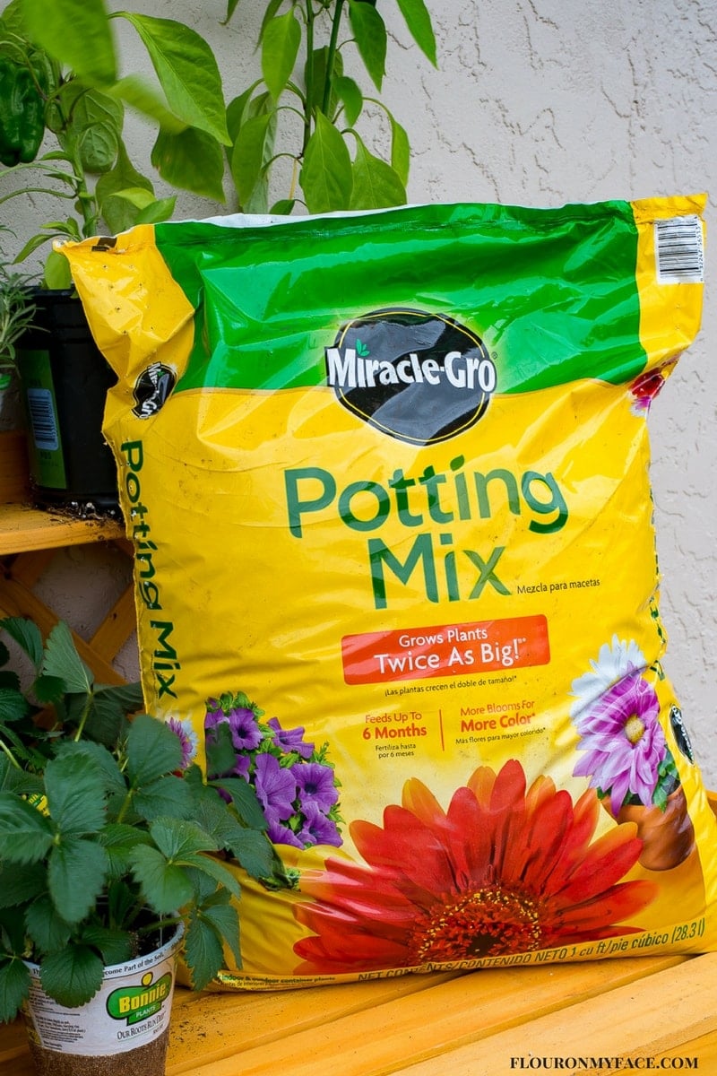 Scotts Miracle Gro Potting Soil in the bag on a potting table