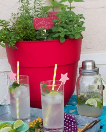 a red planter filled with herbs to grow for a cocktail herb garden on a teal colored cafe table outside with a tray of cocktails