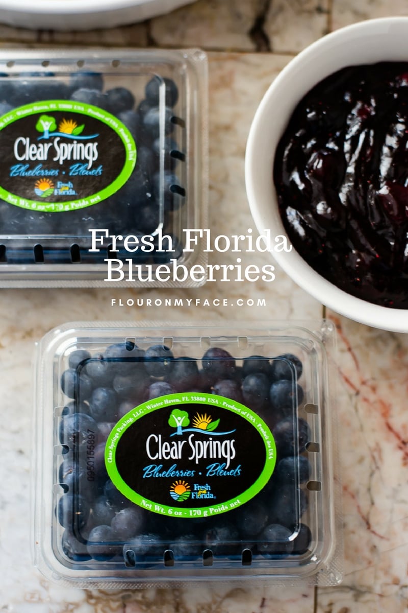 Florida Blueberries in season now