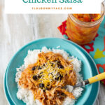 Crock Pot Creamy Chicken Salsa