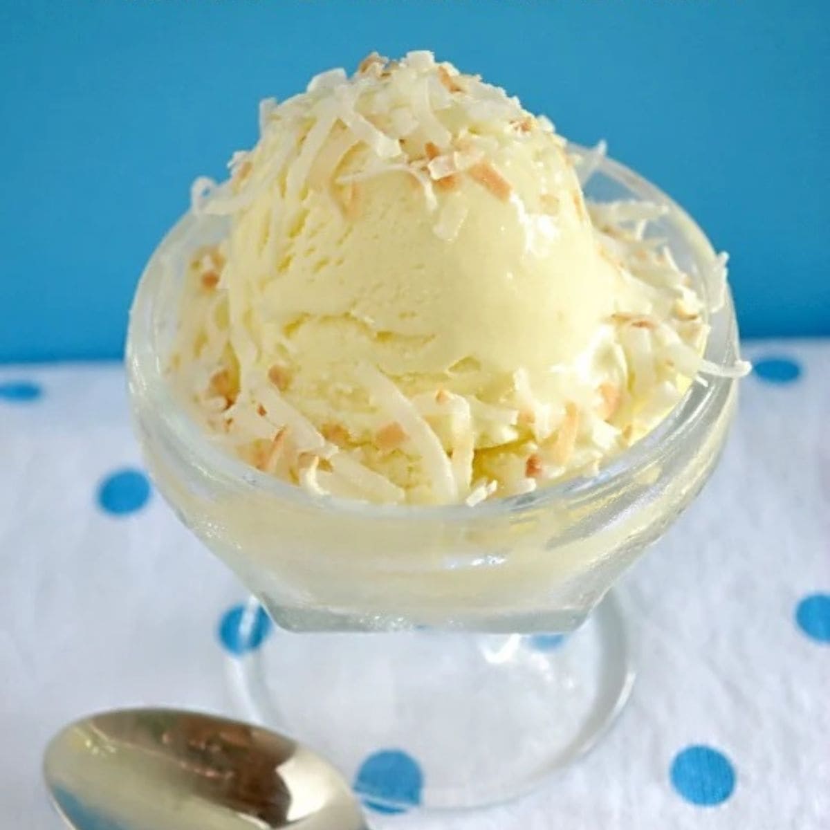 Toasted Coconut Ice Cream in a glass dessert bowl.