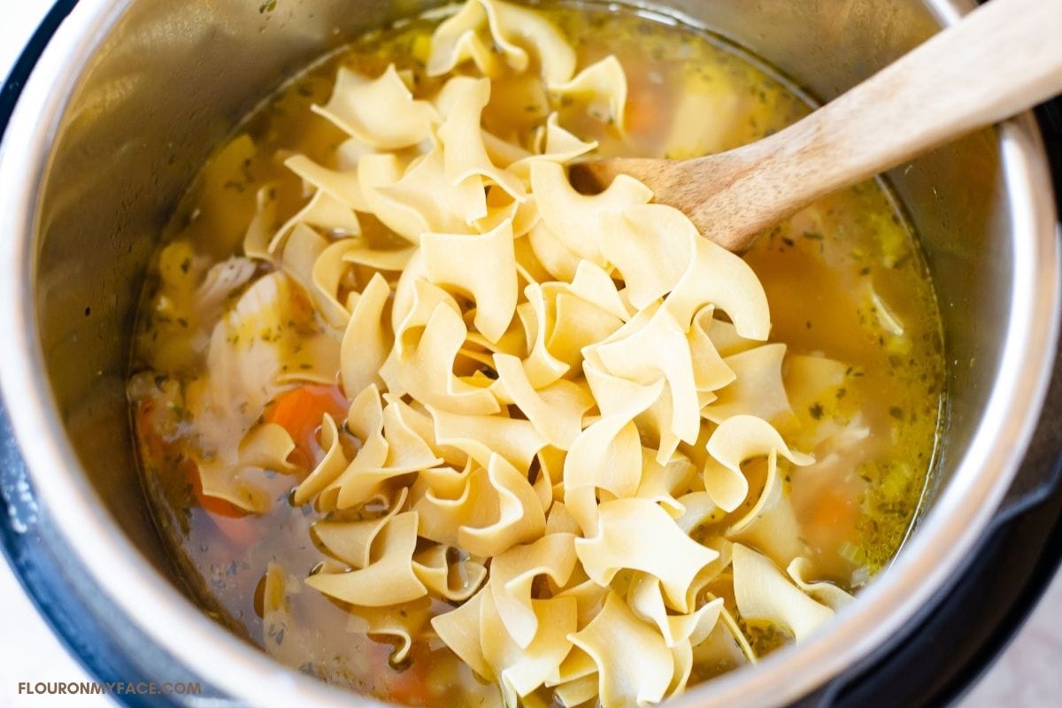 Instant Pot Chicken Noodle Soup