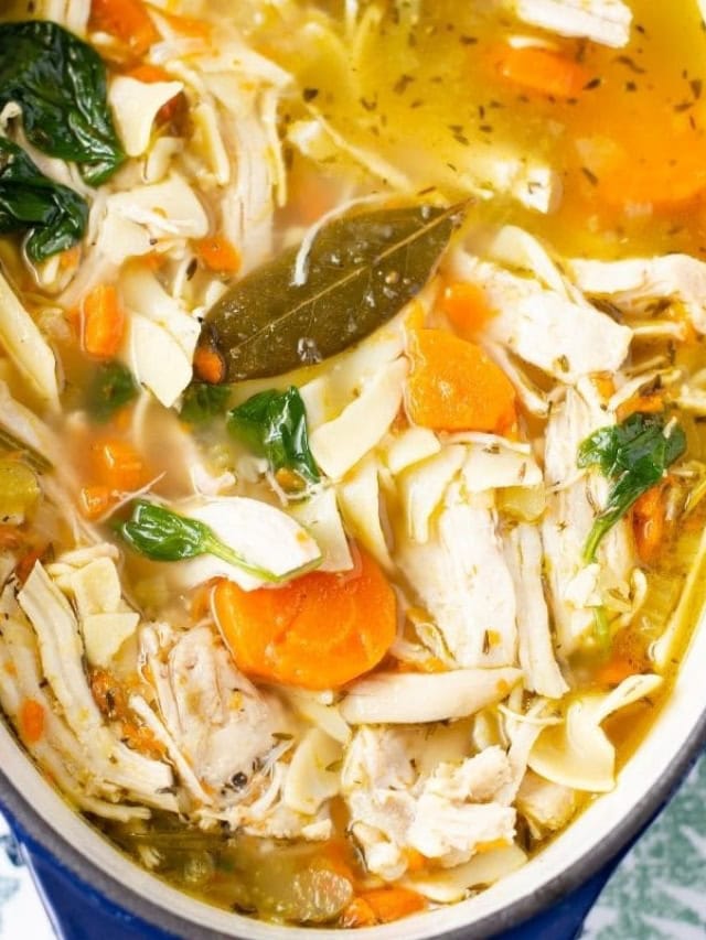 Homemade Instant Pot Chicken Noodle Soup