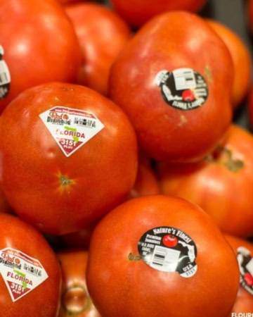 a large pile of ripe tomatoes
