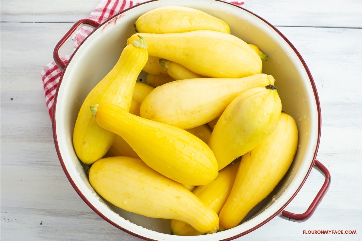 fresh yellow squash in a white enamel colander.