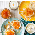 Homemade Peach Orange Marmalade on a toasted English muffin with cream cheese