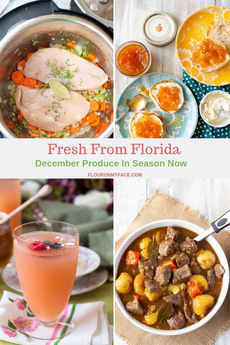 Fresh From Florida December Produce in Season Now collage photo