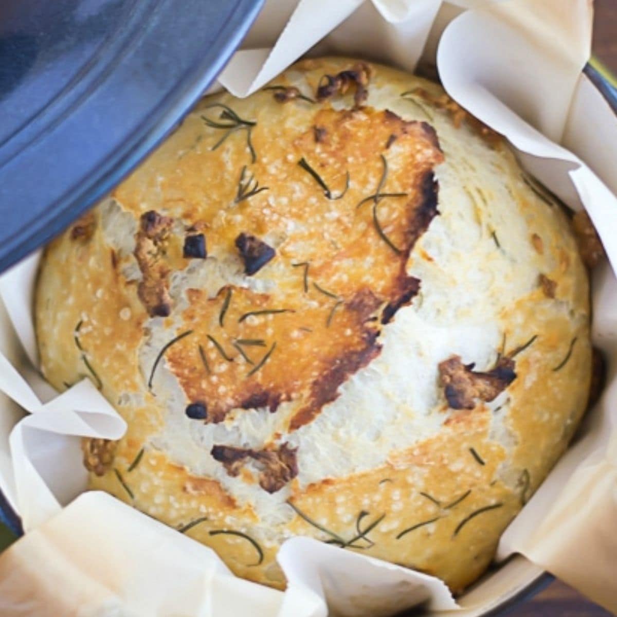 Easy Dutch Oven Bread with Roasted Garlic and Rosemary {No-Knead