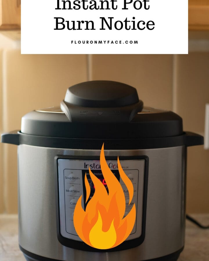Instant Pot Burn Notice image