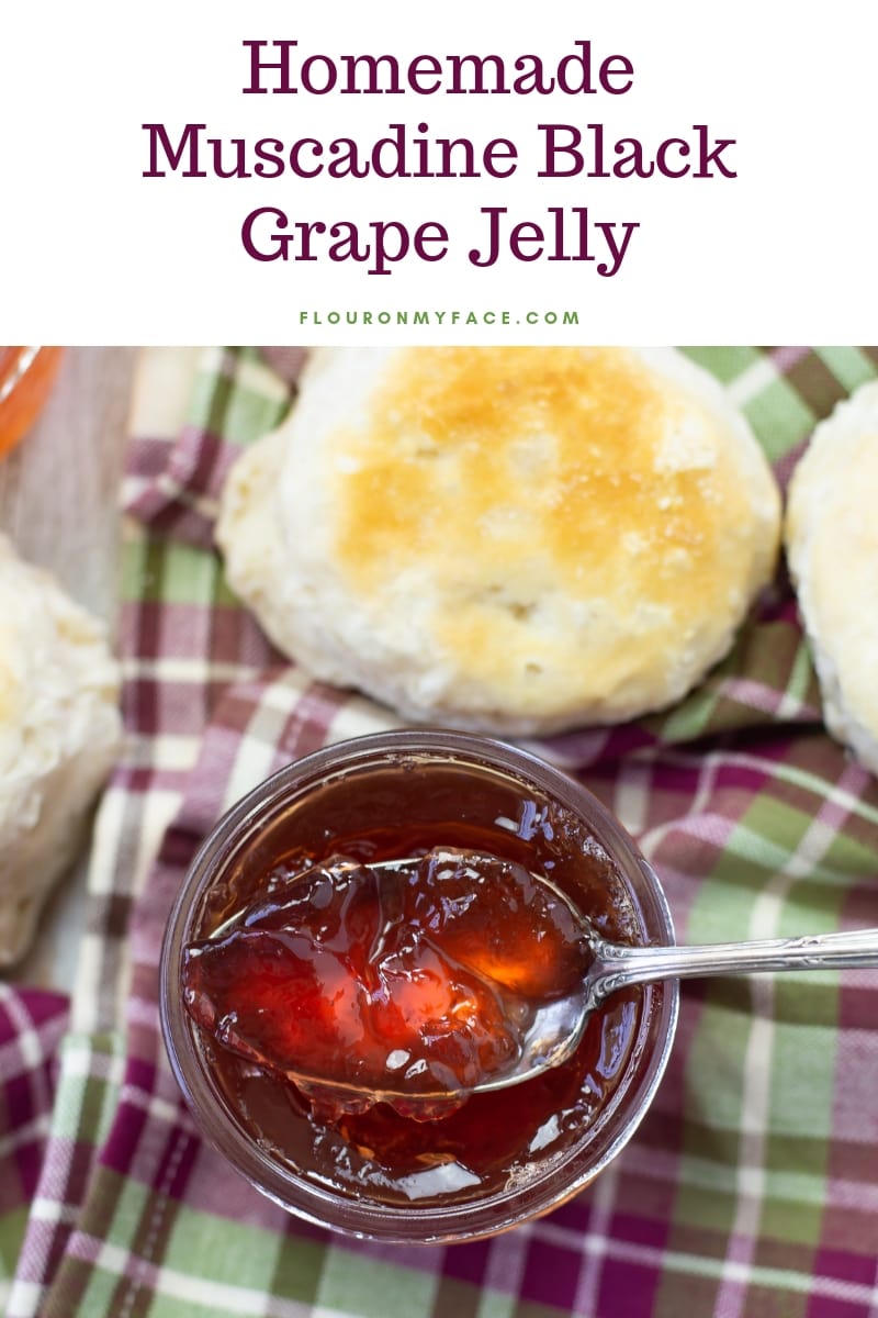 homemade muscadine black grape jelly in a jar