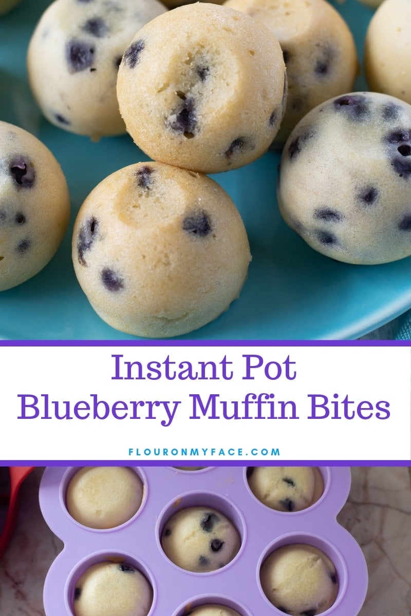 https://flouronmyface.com/wp-content/uploads/2019/06/how-to-make-instant-pot-blueberry-muffin-bites.jpg