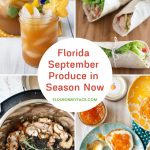 featured image with previews of recipes using fresh Florida produce in September