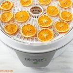 Overhead photo of dried Orange Slices in a food dehydrator
