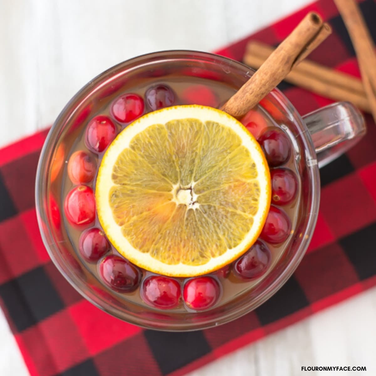 Crock Pot Christmas Wassail Recipe served in mug with whole cranberries, orange slice and cinnamon stick