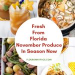 Fresh from Florida November produce in season now with recipes using each of the vegetables and fruits.