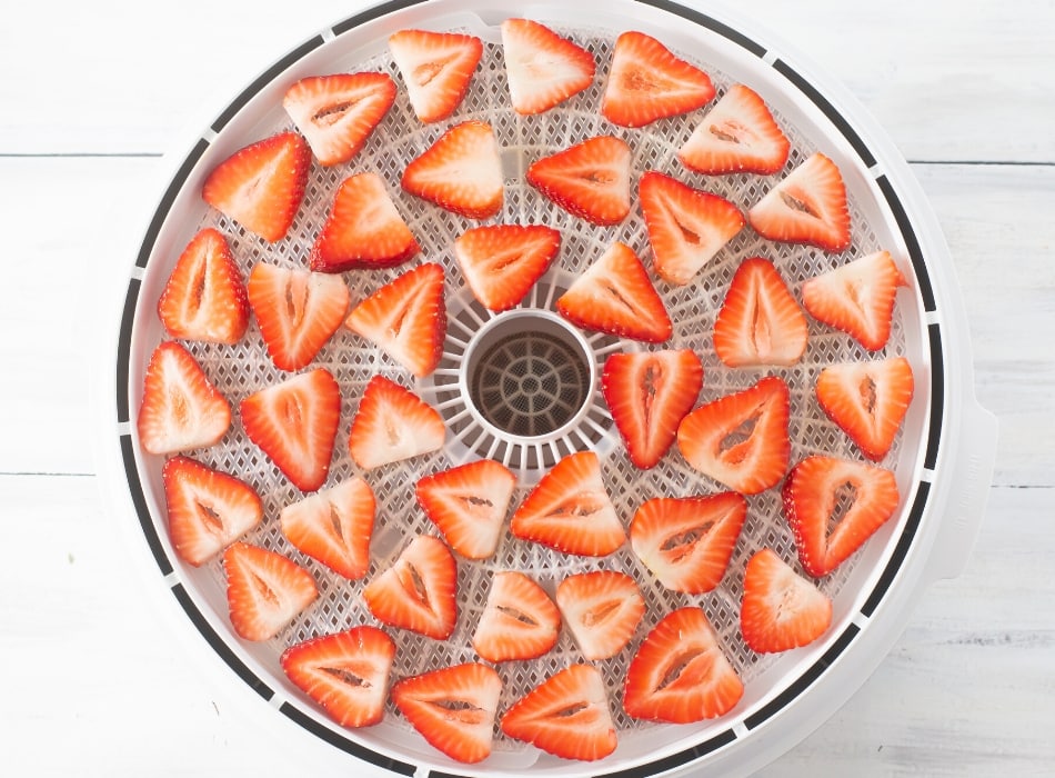 Sliced strawberry pieces arranged on a dehydrator try before drying