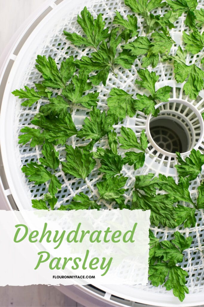 close up photo of dehydrated parsley on a food dehydrator tray