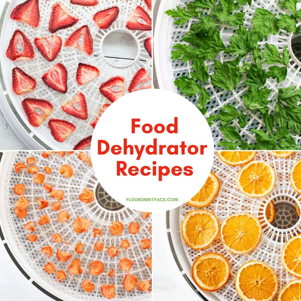 featured food dehydrator recipes page image