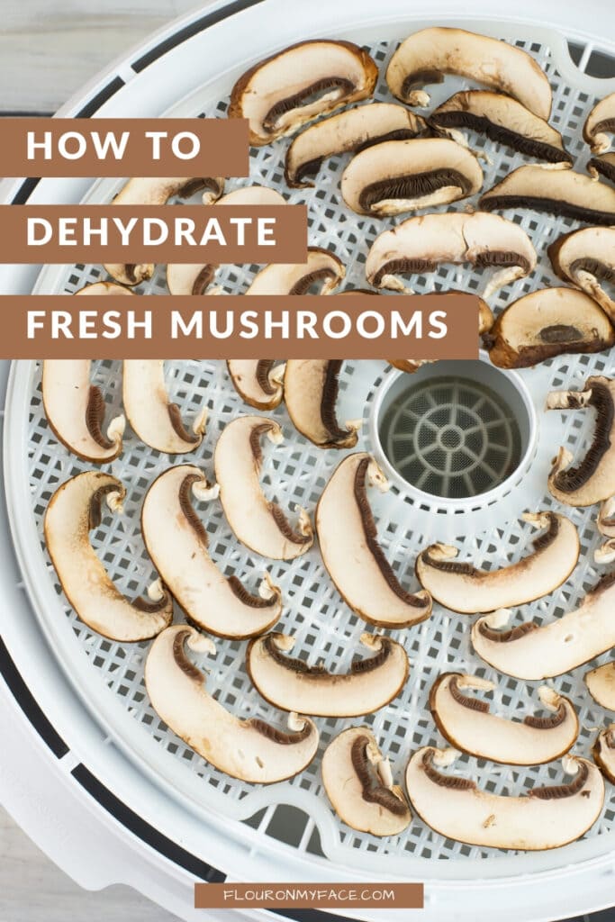 How to Dehydrate Food: Methods, Foods to Try, & Recipes