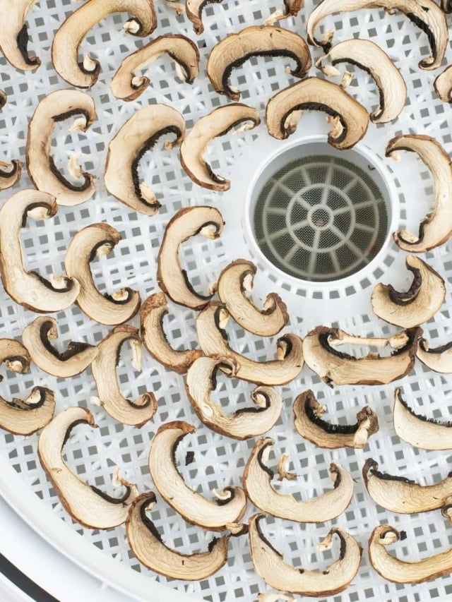How To Make Dehydrated Mushrooms