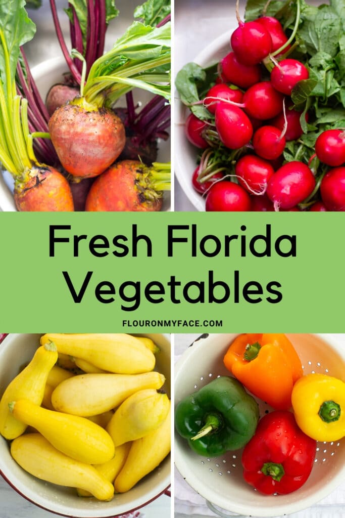 Fresh Florida Vegetables