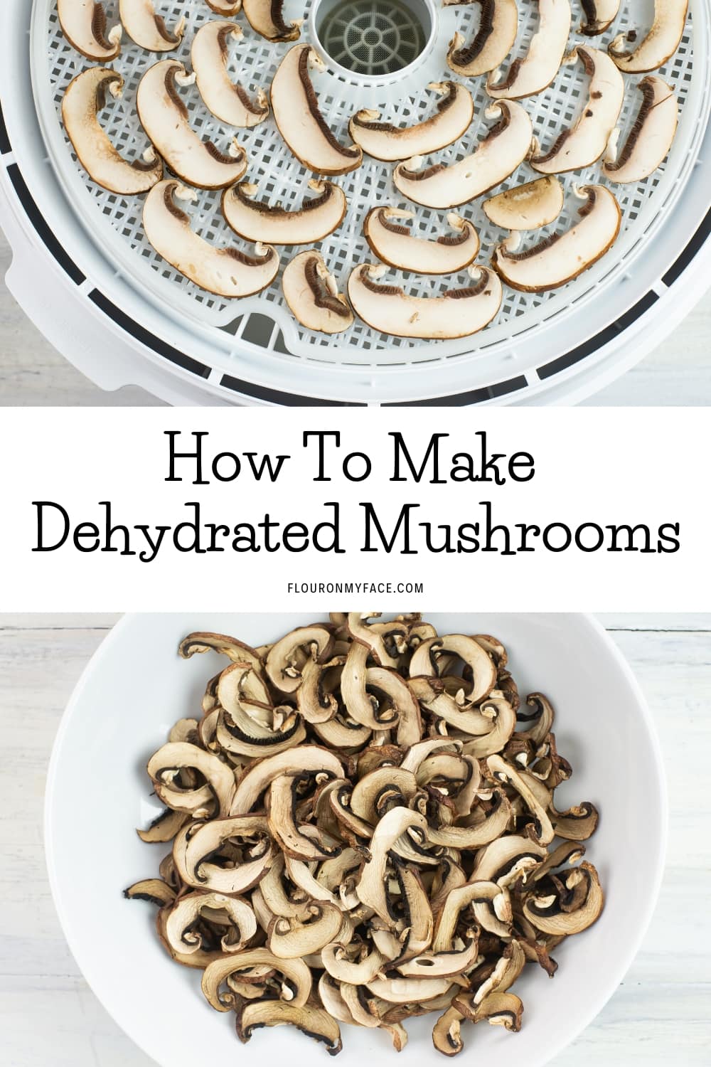 Photo of a bowl of dried mushrooms and the fresh mushrooms arrange on  dehydrator tray.