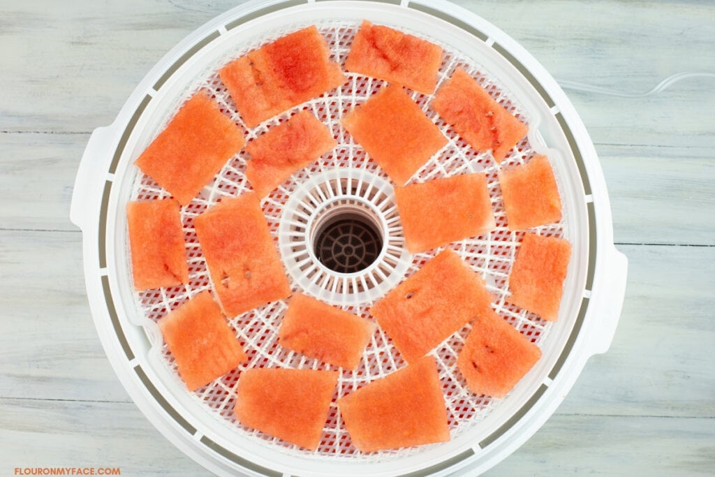 sliced watermelon for dehydrating on a tray