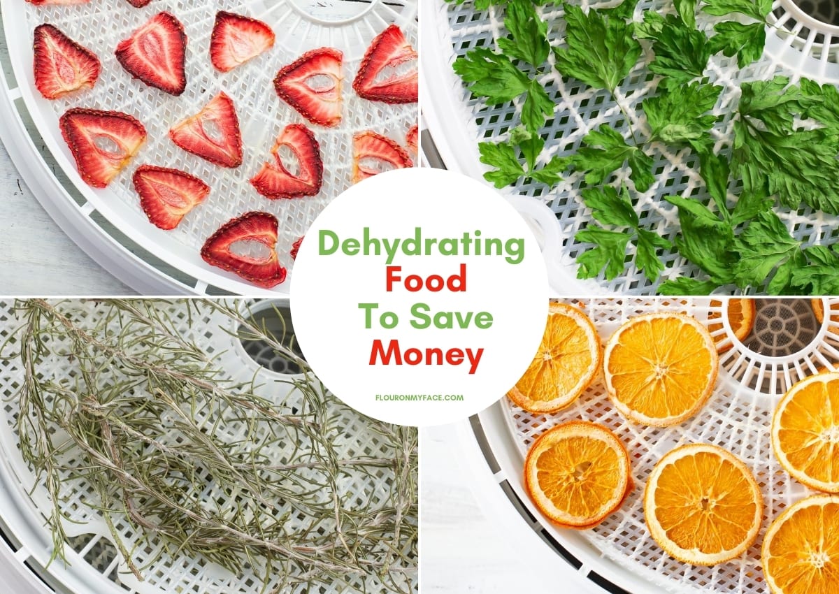 Collage image od dehydrated recipes page