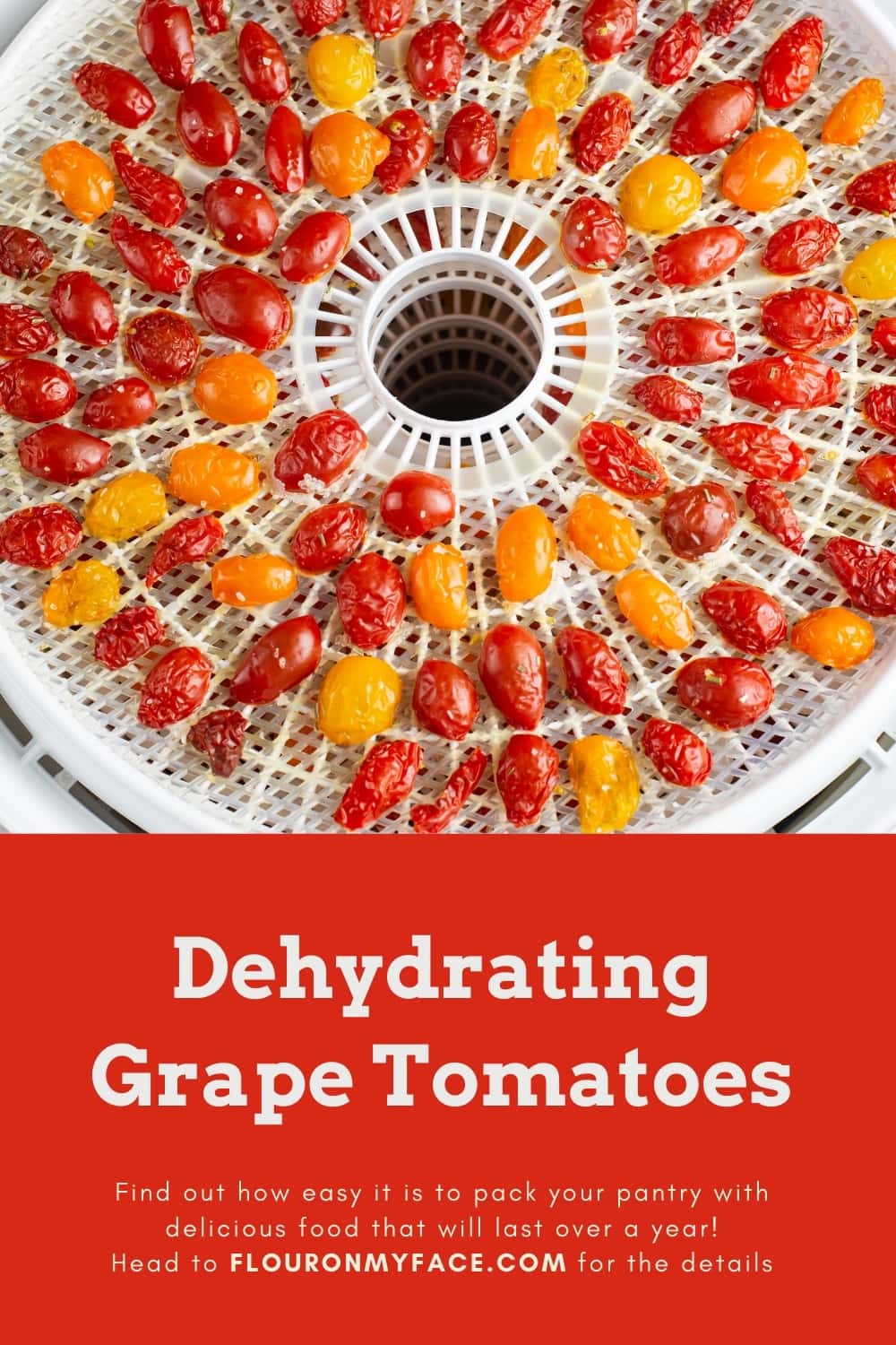 How To Dehydrate Grape Tomatoes Flour On My Face
