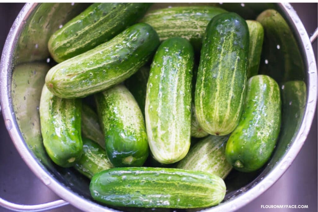 fresh cucumbers in a colander in a sink